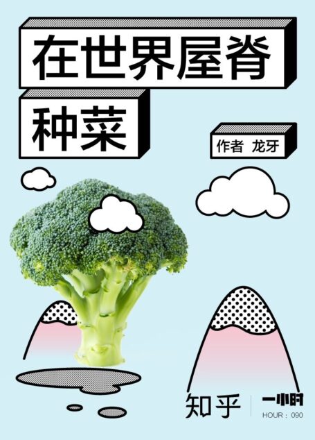 在世界屋脊种菜:知乎龙牙作品 (知乎「一小时」系列)