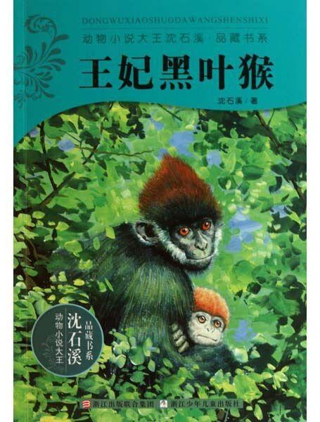 王妃黑叶猴 (动物小说大王沈石溪品藏书系)