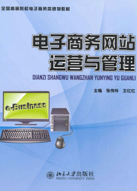 电子商务网站运营与管理 (全国高等院校电子商务类规划教材)