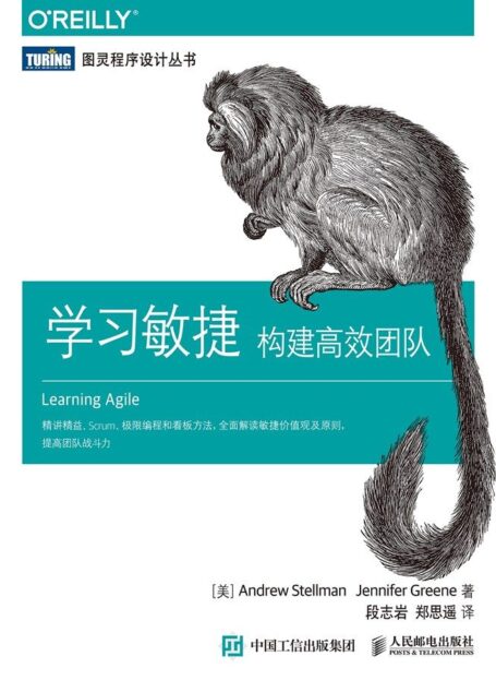 学习敏捷 构建高效团队 (图灵程序设计丛书)