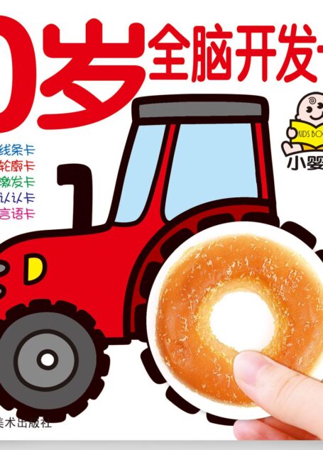 0岁全脑开发卡 (小婴孩智能开发全卡)
