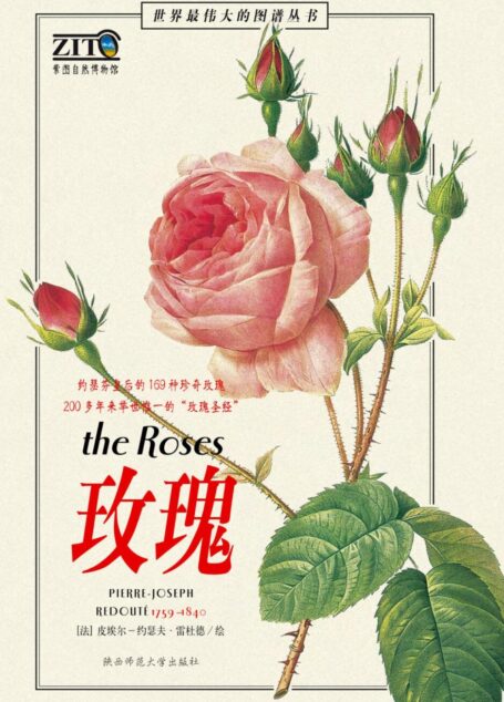 玫瑰圣经 (世界最伟大的图谱丛书)