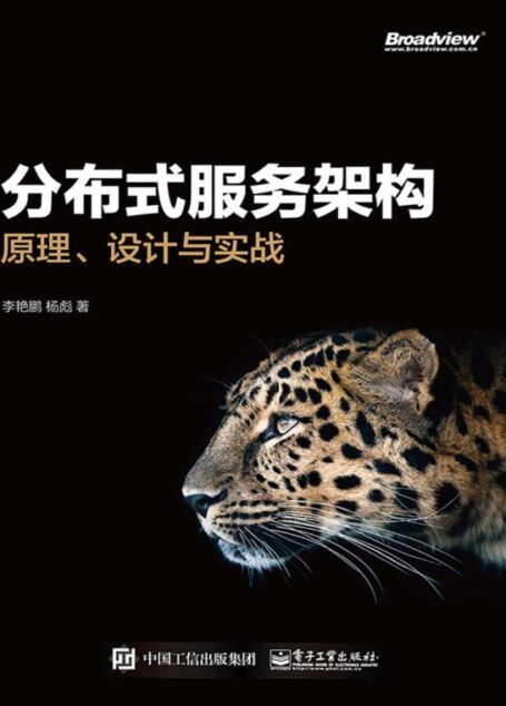 分布式服务架构:原理、设计与实战