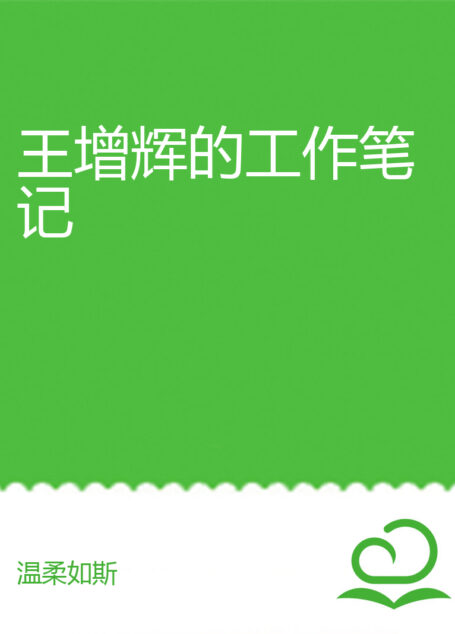 王增辉的工作笔记