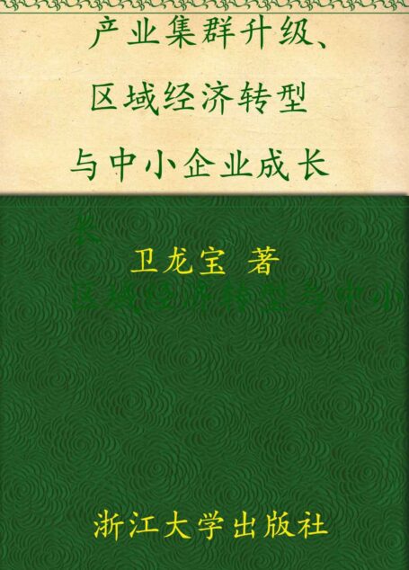 产业集群升级、区域经济转型与中小企业成长:基于浙江特色产业集群案例的研究 (全球浙商研究丛书)
