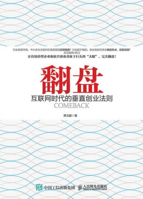 翻盘:互联网时代的垂直创业法则