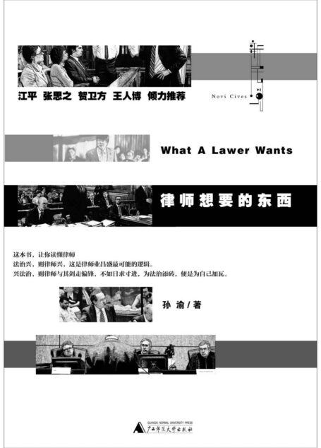 律师想要的东西 (新民说)