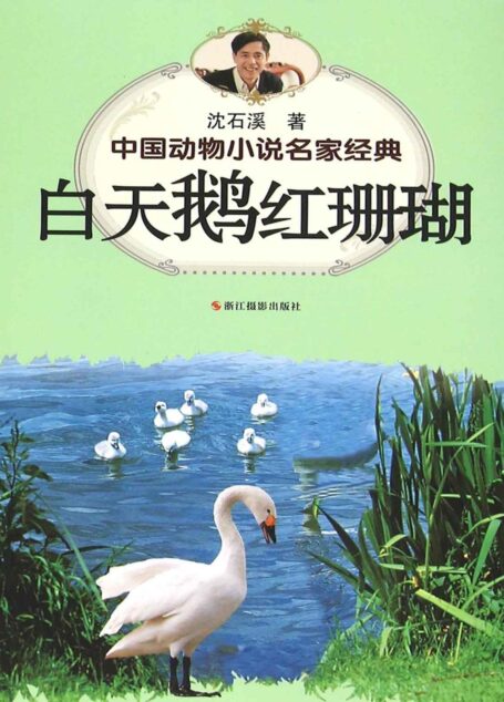 中国动物小说名家经典·白天鹅红珊瑚