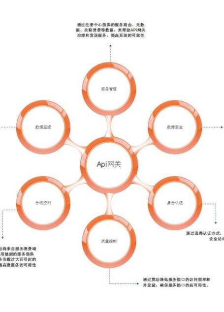 基于.NET Core微服务框架 -谈谈surging API网关