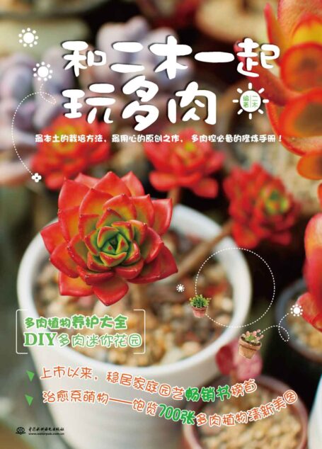 和二木一起玩多肉