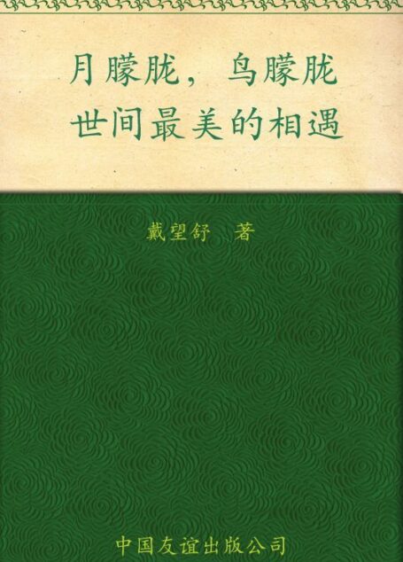 月朦胧,鸟朦胧:世间最美的相遇