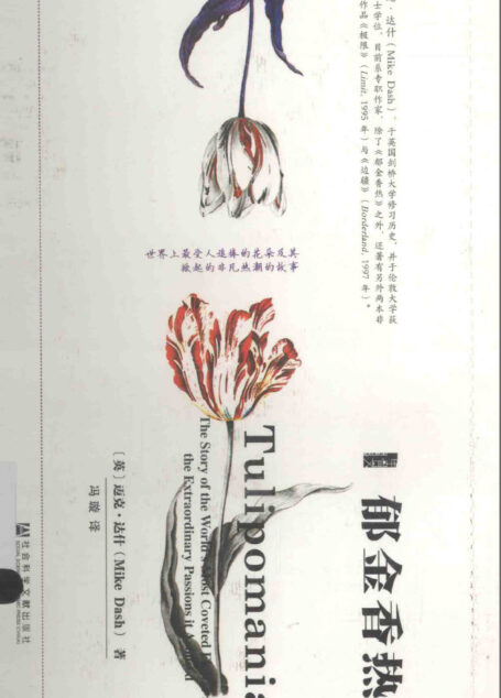郁金香热A