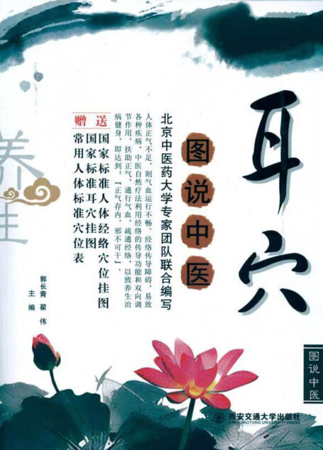 耳穴