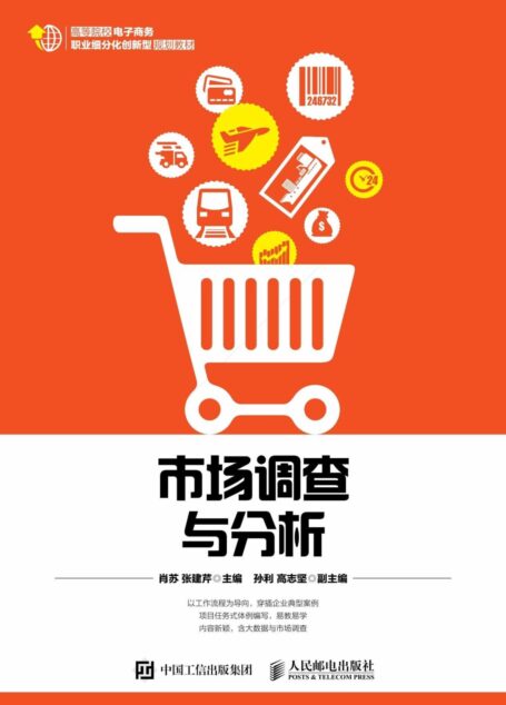 市场调查与分析 (高等院校电子商务职业细分化创新型规划教材)