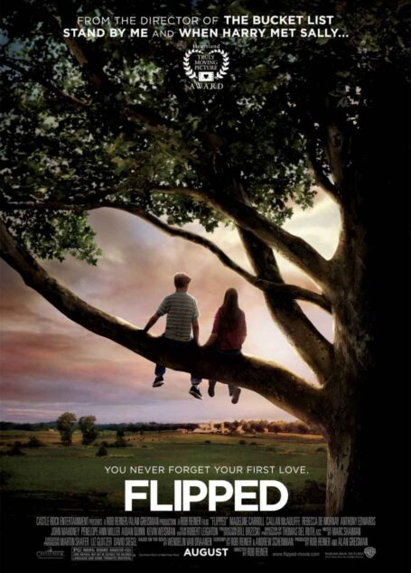 怦然心动(Flipped)