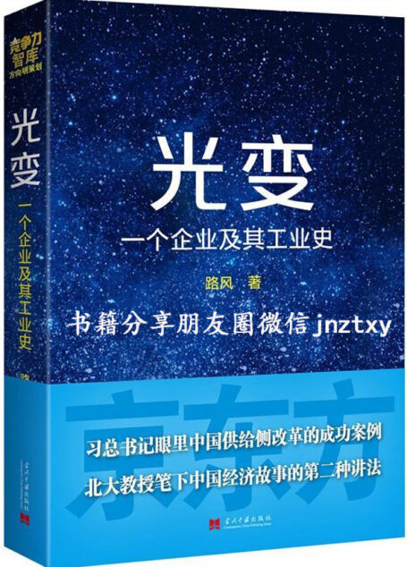 光变:一个企业及其工业史