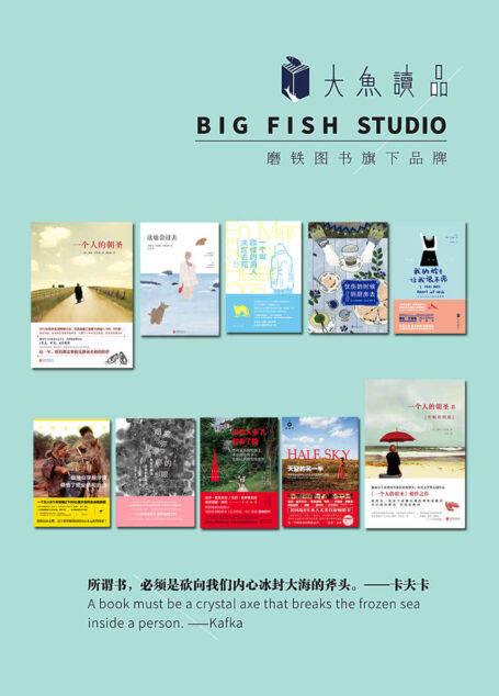 大鱼读品系列精选套装(包含:一个人的朝圣、一个叫欧维的男人决定去死、天空的另一半、忧伤的时候,到厨房去等)