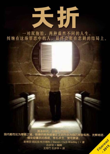 夭折（一对双胞胎，两种截然不同的人生。纠缠在这场罪恶中的人，最终会聚在悲剧的结局上。）