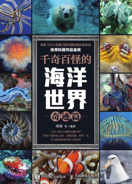 千奇百怪的海洋世界 奇迹篇