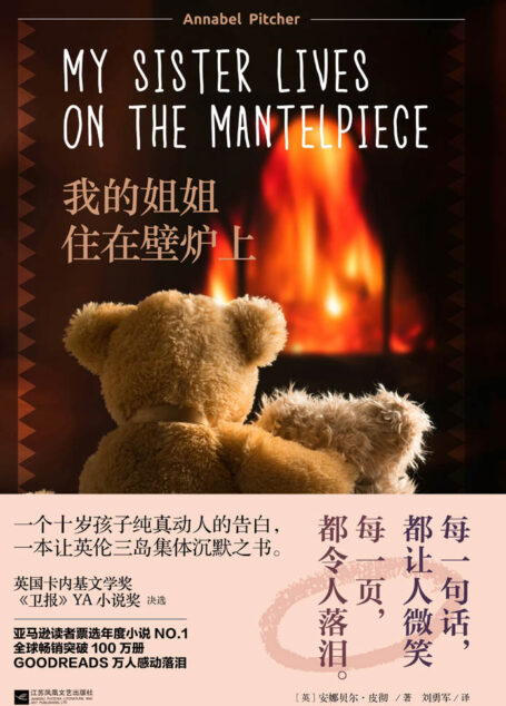 我的姐姐住在壁炉上(英国百万册畅销书,被誉为《奇迹男孩》之后,又一治愈佳作!与《小王子》《夏洛的网》同获全民票选治愈系NO.1)