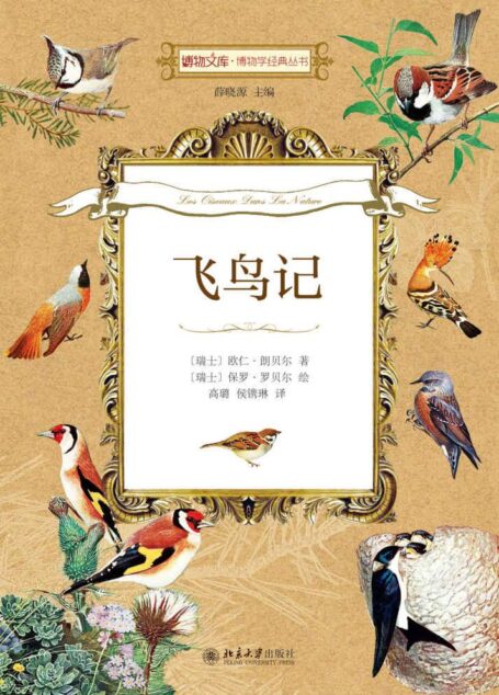 博物文库·博物学经典丛书:飞鸟记