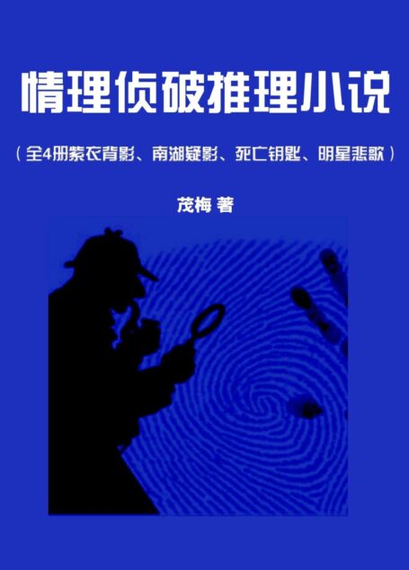 情理侦破推理小说(全4册:紫衣背影、南湖疑影、死亡钥匙、明星悲歌)