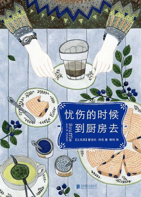 忧伤的时候，到厨房去（土耳其最受瞩目新生代才女作家年度畅销疗愈小说） (大鱼读品系列)