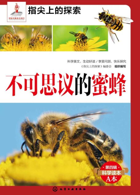 不可思议的蜜蜂