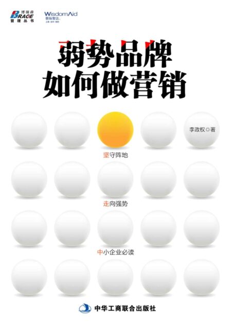 弱势品牌如何做营销 (博瑞森管理图书)