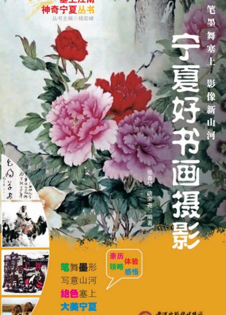 宁夏好书画摄影