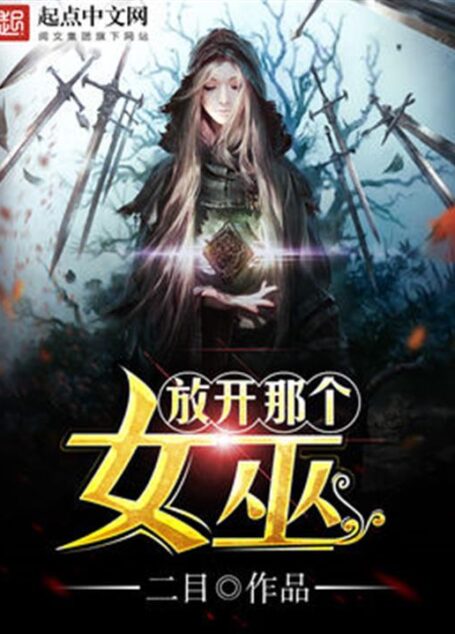 《放开那个女巫》(校对版全本)作者:二目