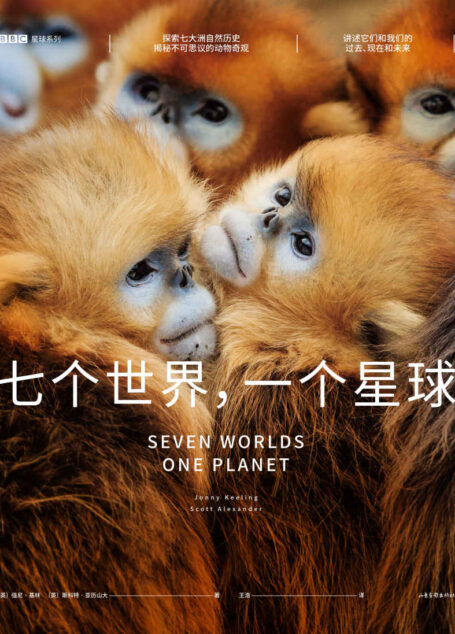 七个世界,一个星球(BBC星球系列,高分神作来袭,剧集豆瓣9.7分,腾讯视频9.9分!)