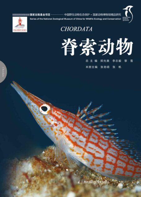 国家动物博物馆精品研究——脊索动物 (中国野生动物生态保护 国家出版基金项目 理性科普)