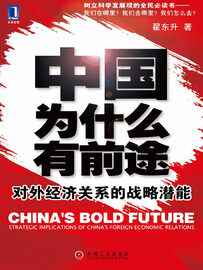 中国为什么有前途 翟东升 著