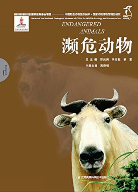 国家动物博物馆精品研究——濒危动物 (中国野生动物生态保护 国家出版基金项目 理性科普)