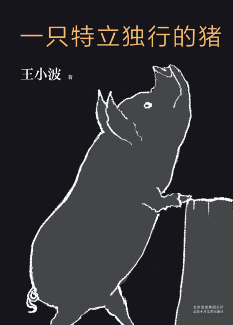 王小波:一只特立独行的猪(李银河独家授权,并亲自校订全稿。王小波杂文精选集,逝世二十周年精装纪念版!幽默中充满智性。)