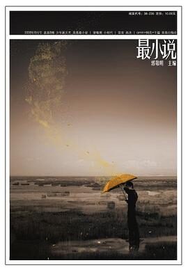 最小说(第8辑)