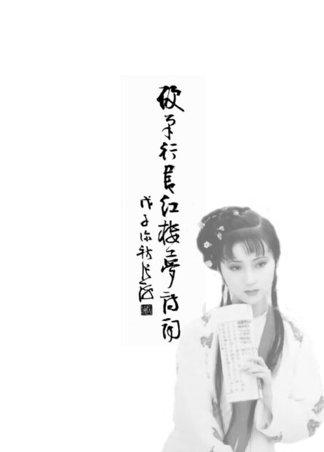 硬笔行书红楼梦诗词