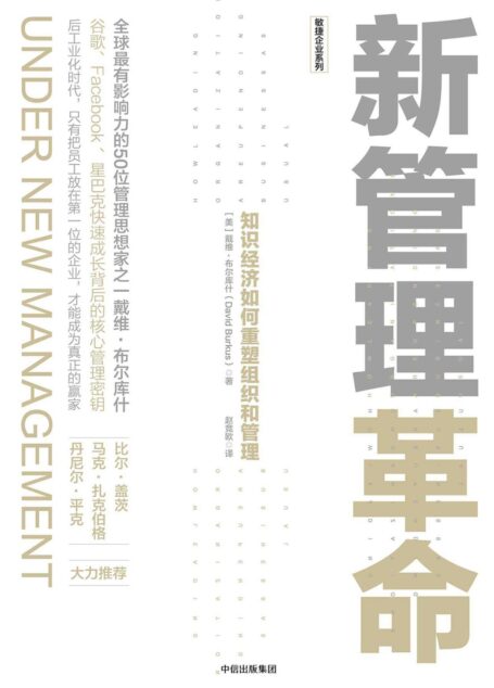 新管理革命:知识经济如何重塑组织和管理