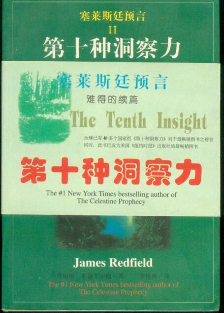 塞莱斯廷预言II:第十种洞察力