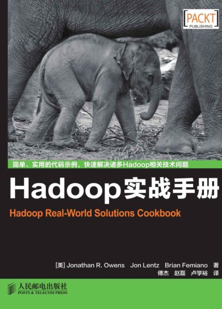 Hadoop实战手册(异步图书)
