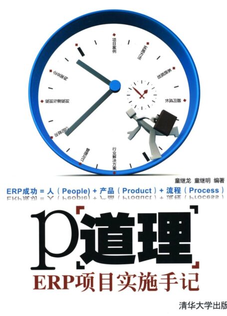 P道理:ERP项目实施手记