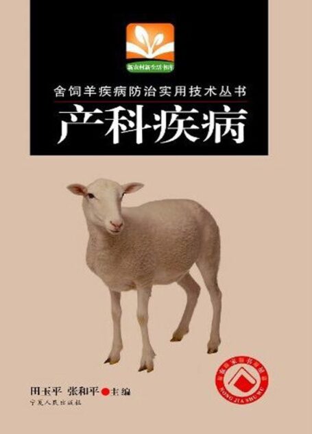 产科疾病 (新农村新生活书库)