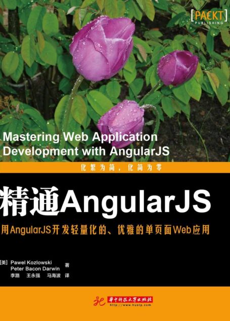 精通AngularJS
