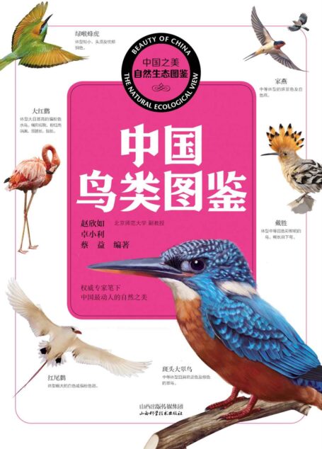 中国鸟类图鉴 (中国之美自然生态图鉴)