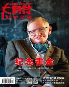 科学之谜-2018年5期