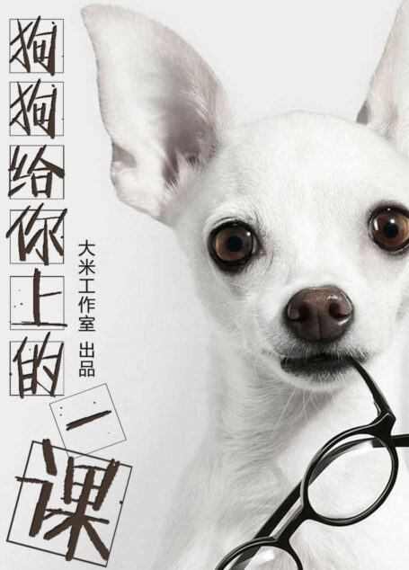 狗狗给你上的一课——20个高效工作小诀窍 (BookDNA职场书系)