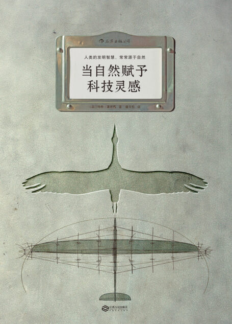 当自然赋予科技灵感