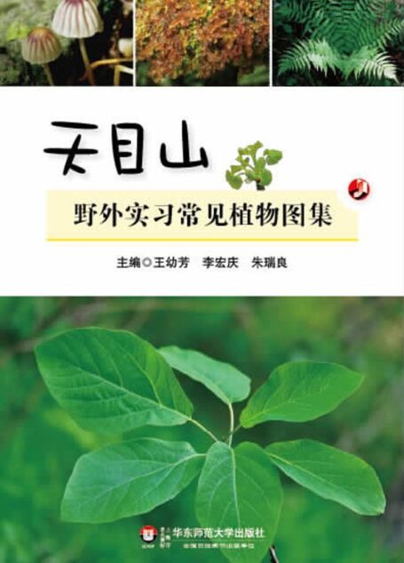 天目山野外实习常见植物图集