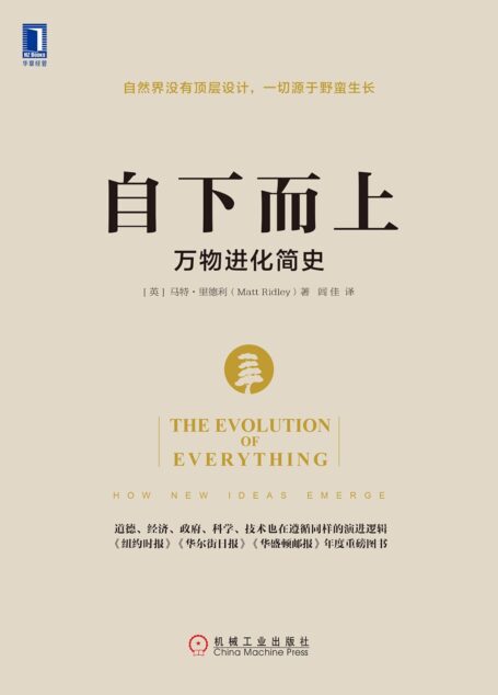 自下而上:万物进化简史